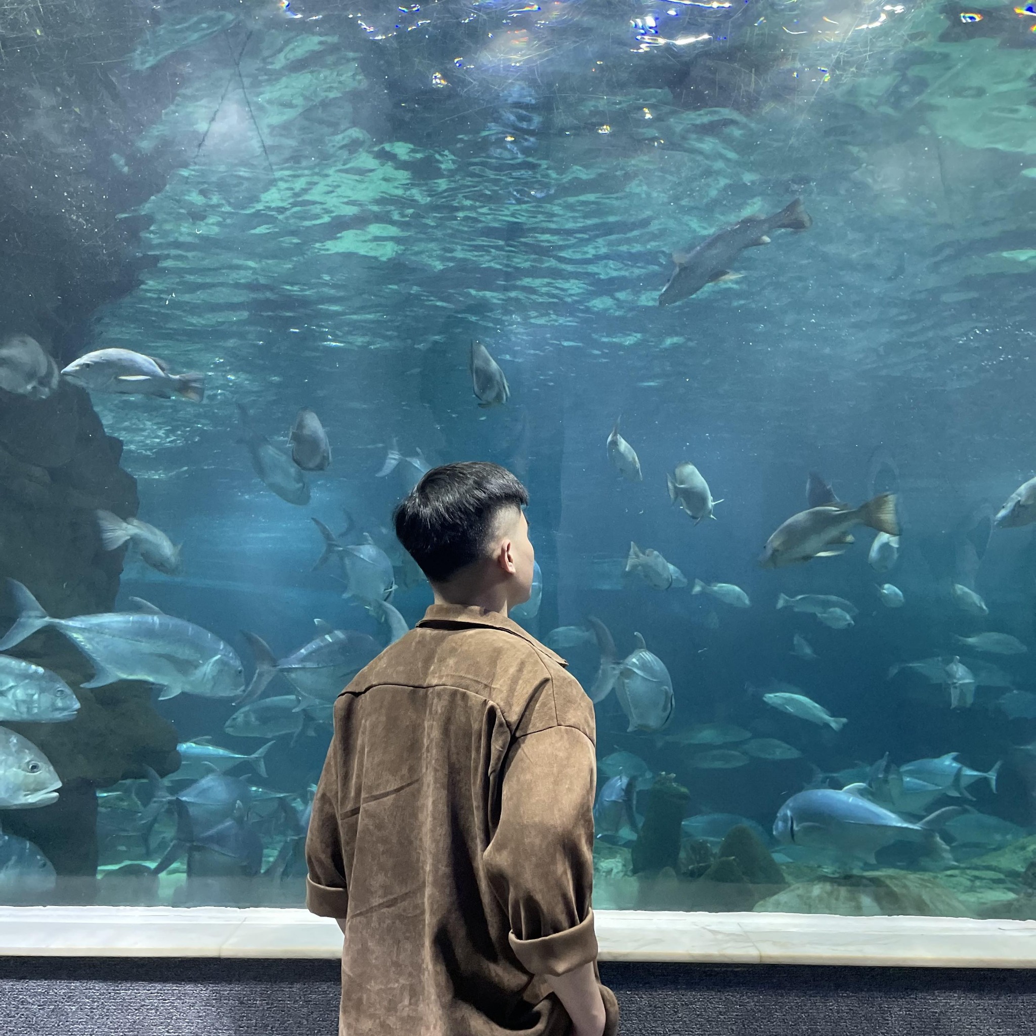 Profile picture of James Anderson